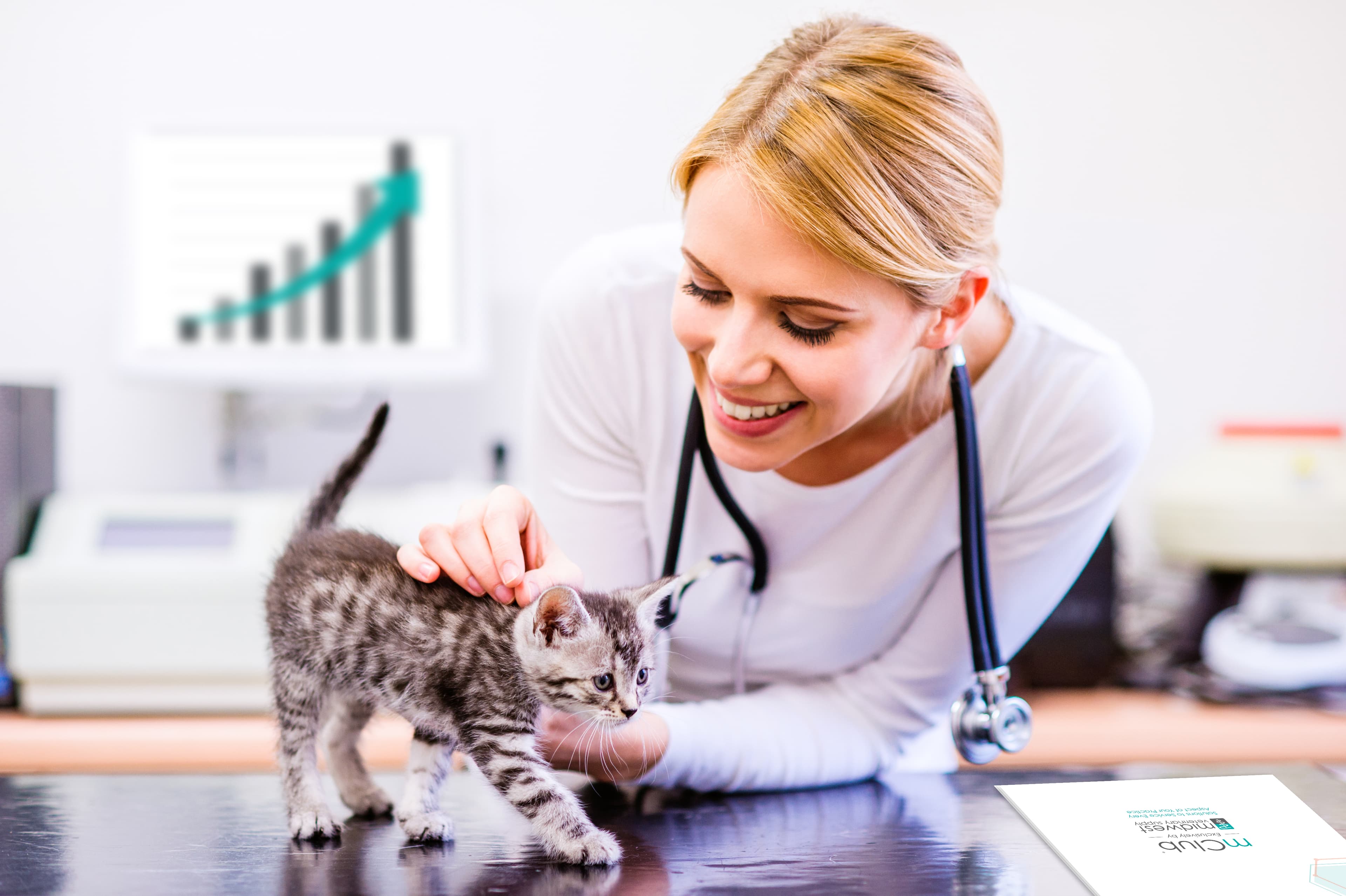Vet given a kitten a checkup